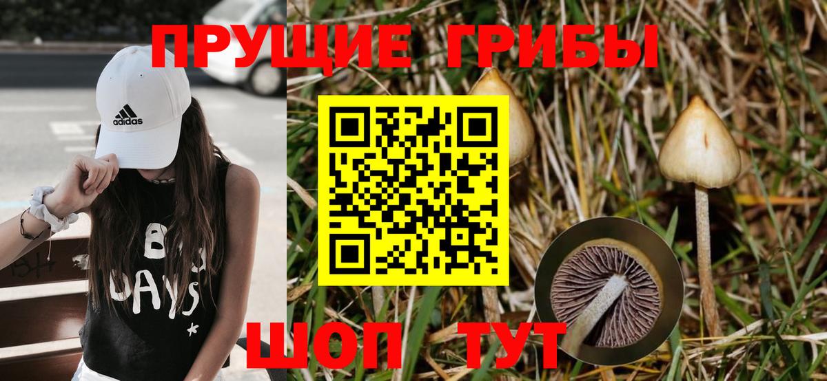 Скопин  Галлюциногенные грибы прущие грибы  Псилоцибиновые грибы GOLDEN TEACHER  Вход с VPN 