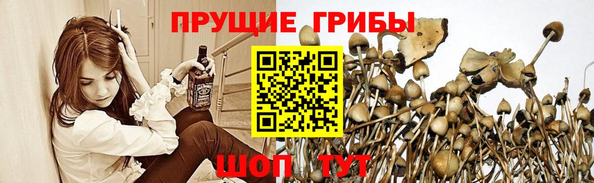 Псилоцибиновые грибы мухоморы Скопин